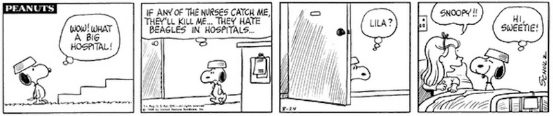 Illustration for article titled The Most Nightmarish Peanuts Special Ever Made